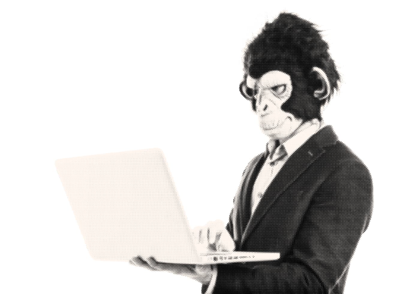 monkey computer