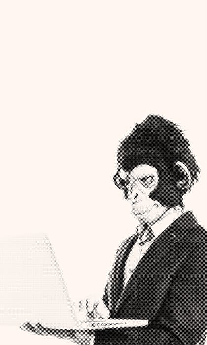 monkey computer