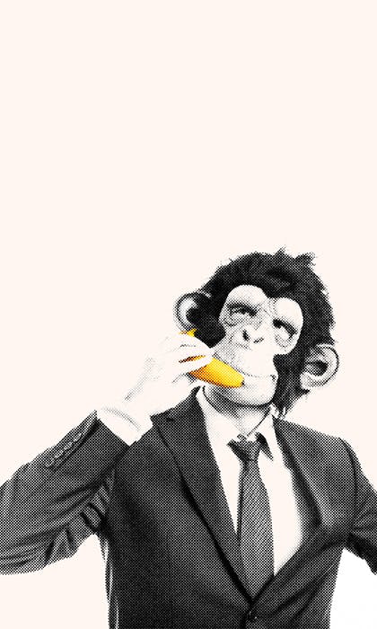 monkey phone